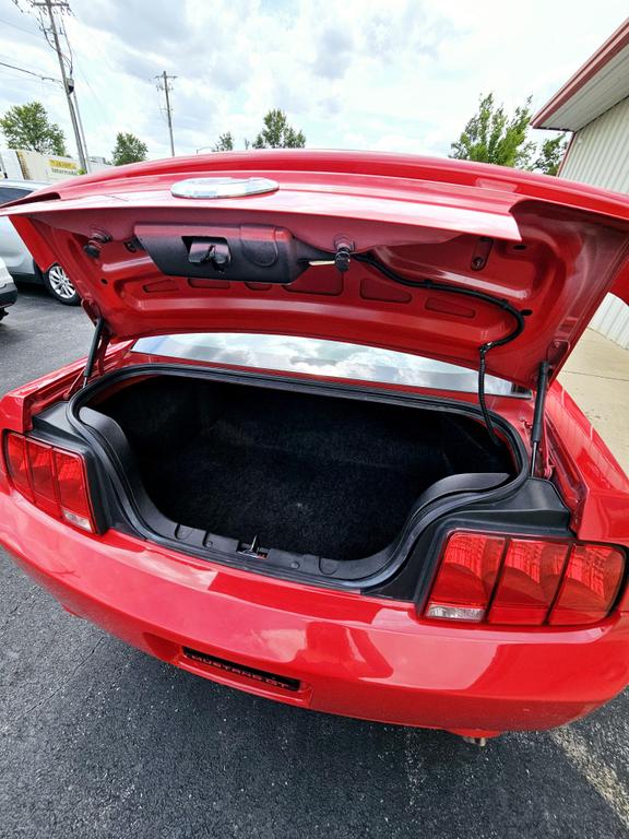 2008 Ford Mustang GT Deluxe photo 12