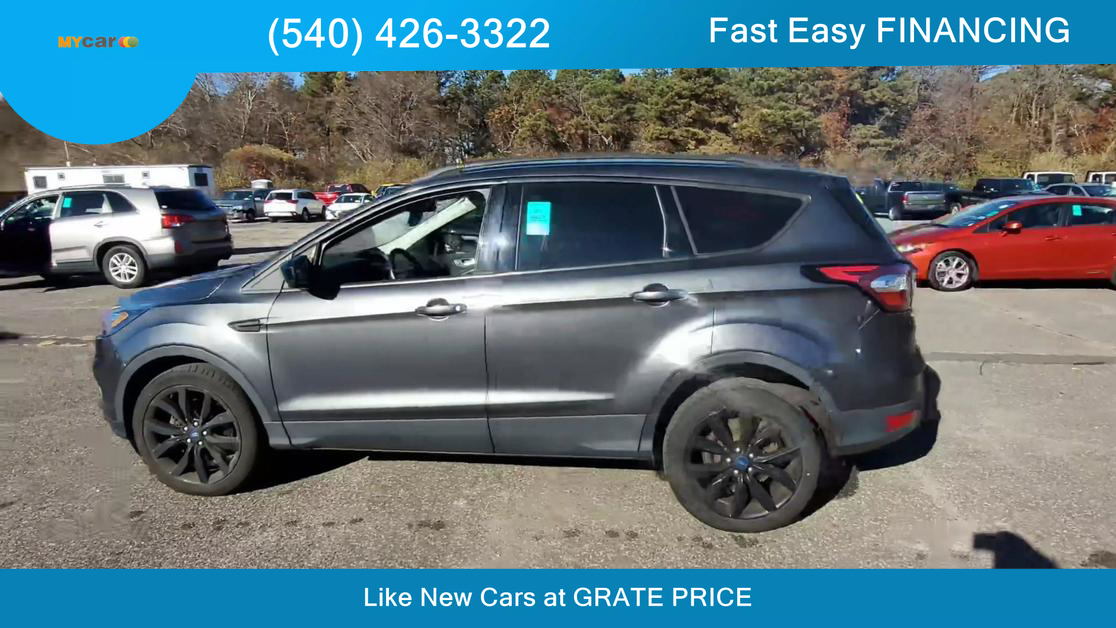 Ford Escape's photo