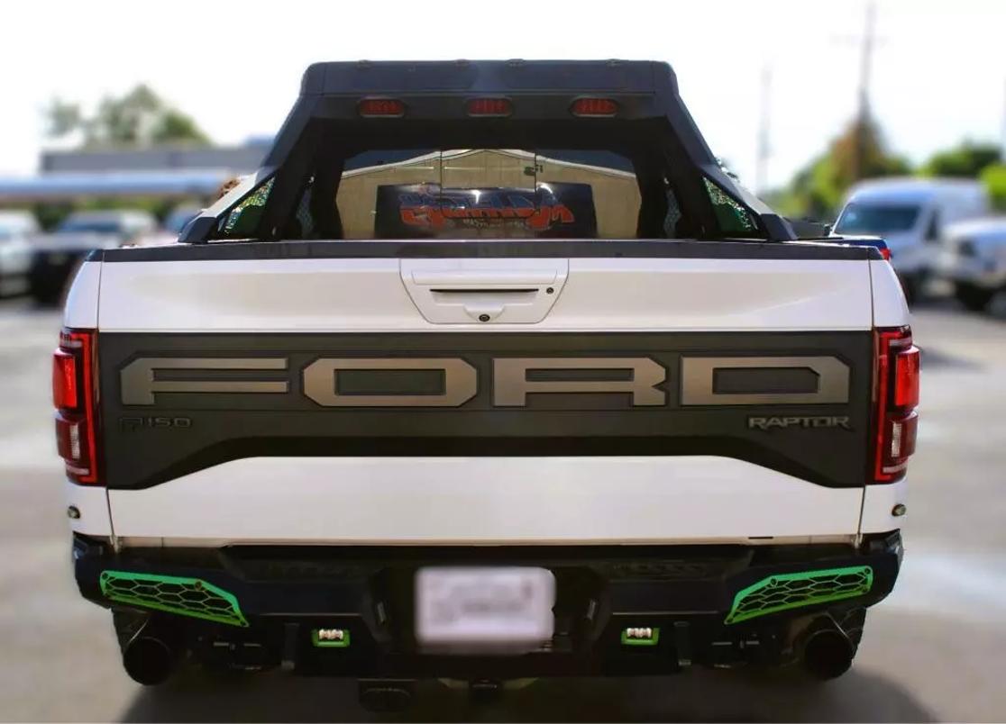 2019 Ford F-150 Raptor photo 6