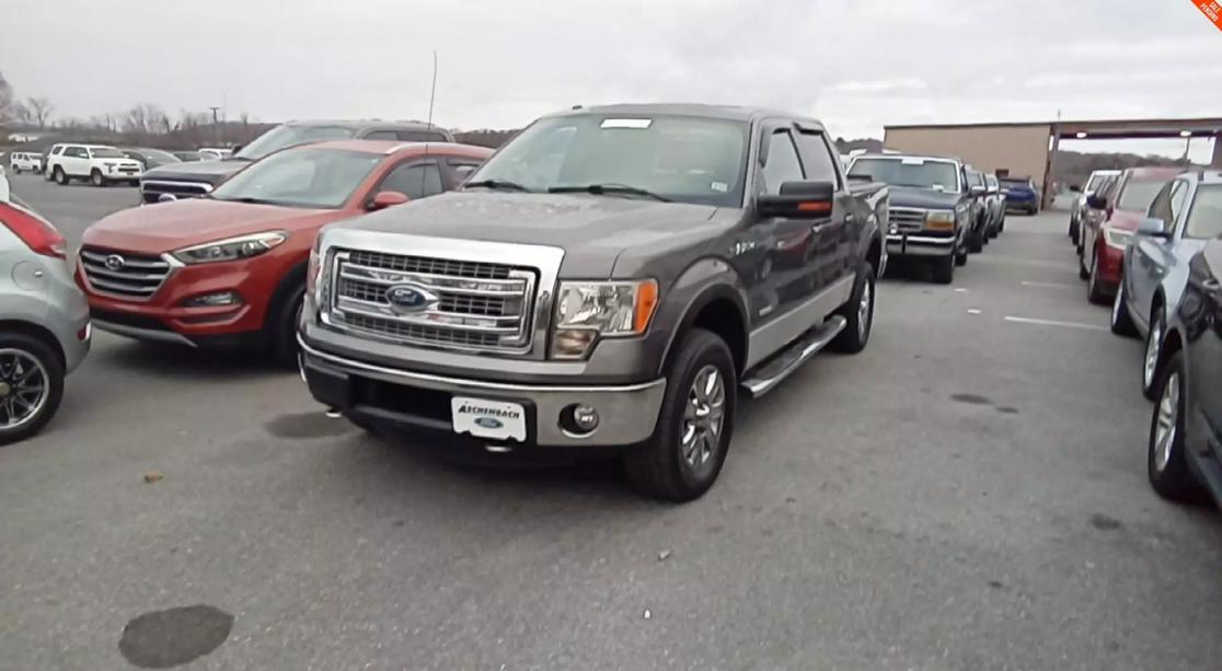 Ford F-150's photo