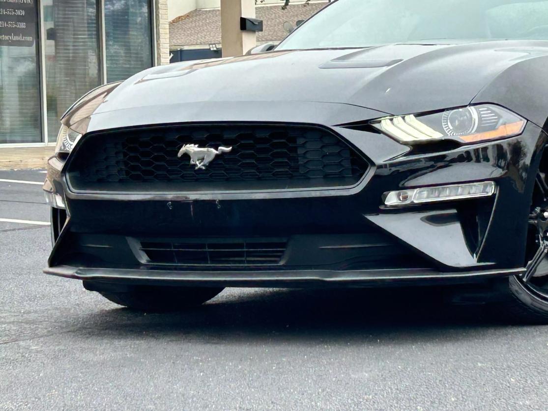 2019 Ford Mustang EcoBoost Premium photo 10