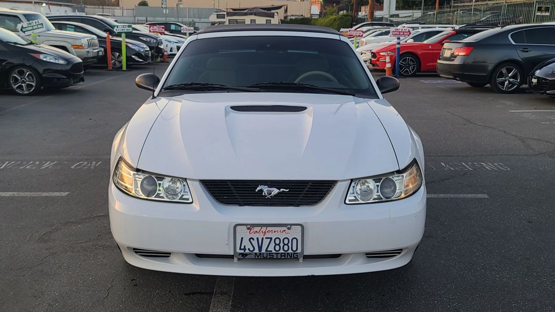 Image 9 of 2001 FORD MUSTANG