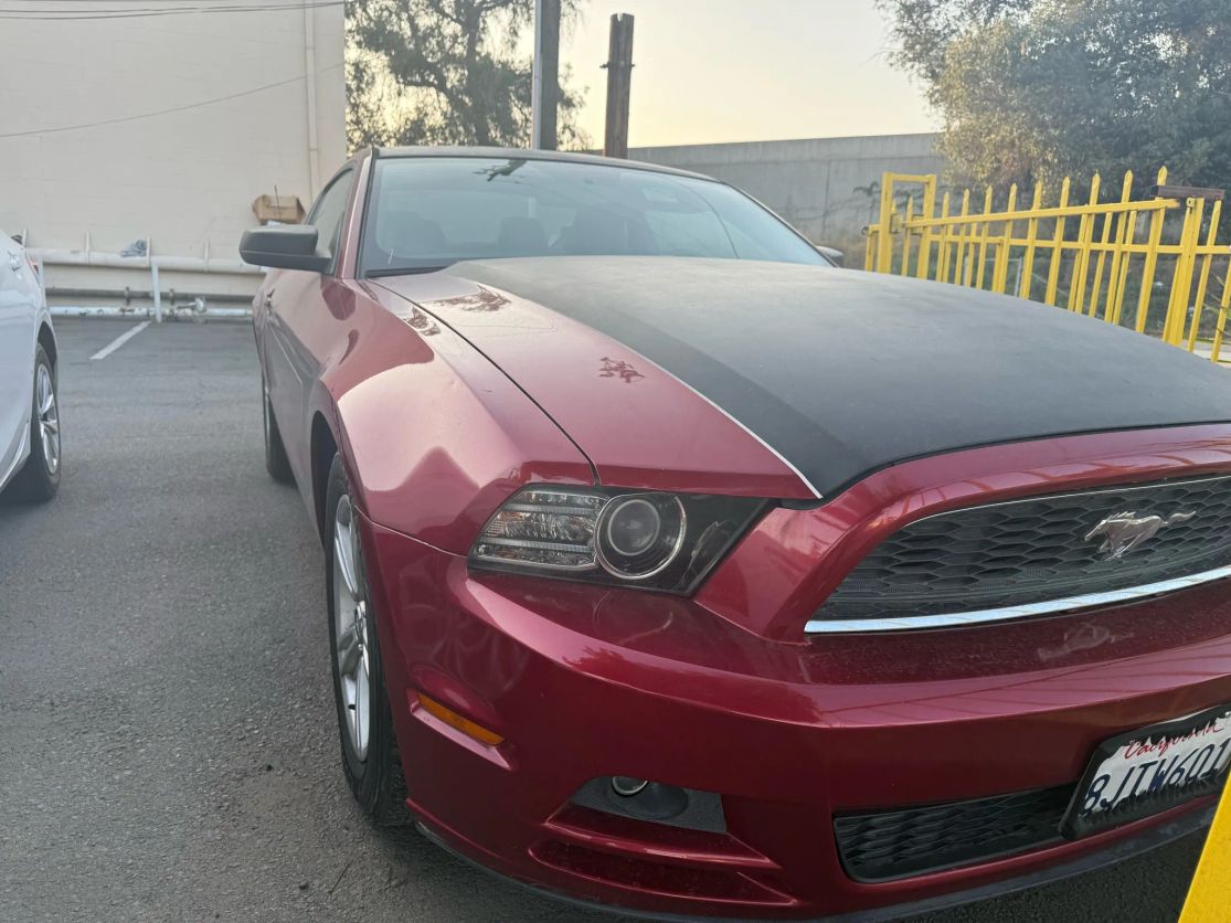 2014 Ford Mustang V6