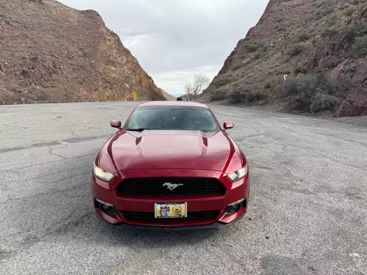 Used 2017 Ford Mustang EcoBoost Premium with VIN 1FA6P8TH9H5333338 for sale in El Paso, TX