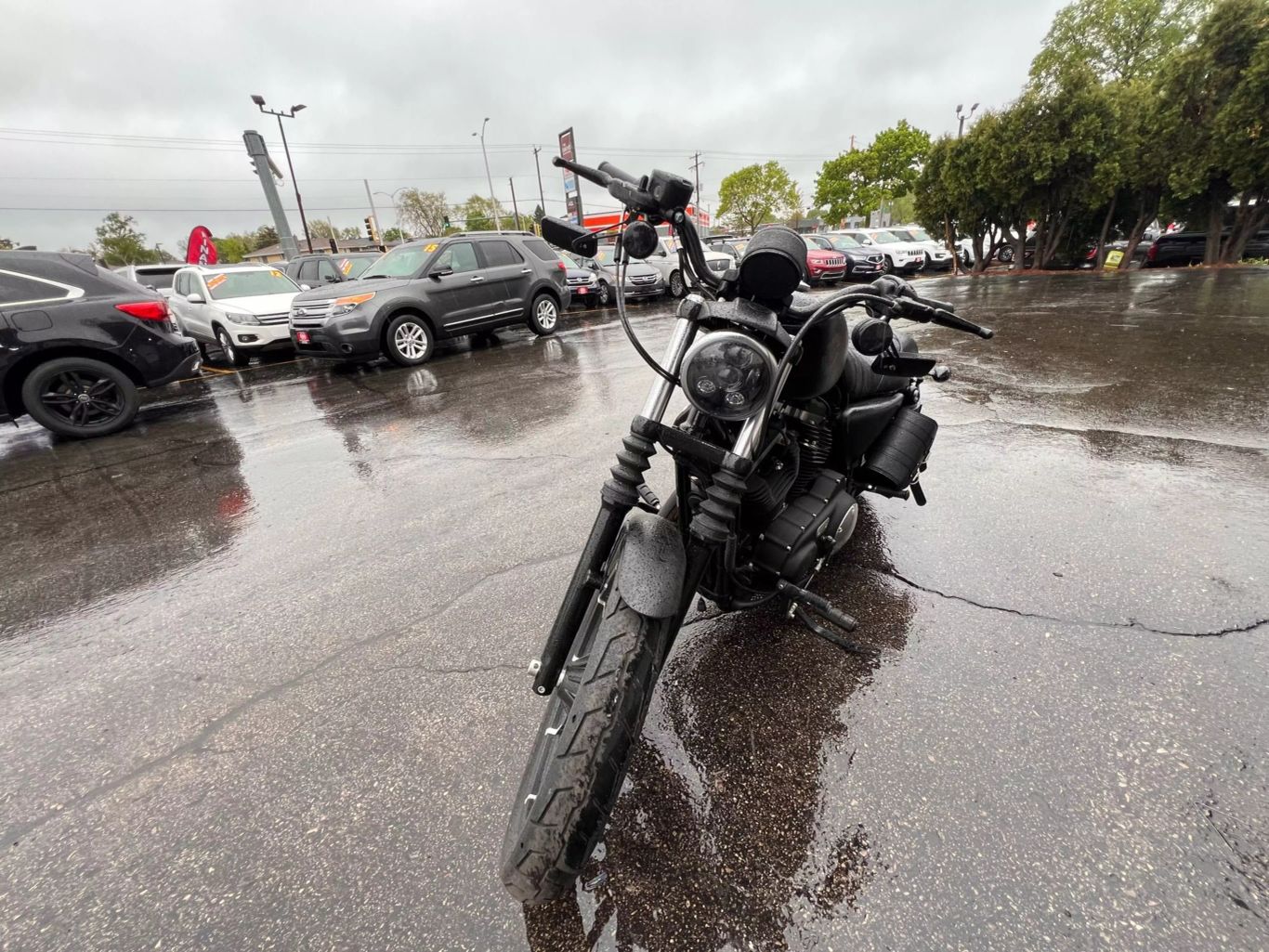 2019 Harley-davidson Iron 883 Xl - Image 3