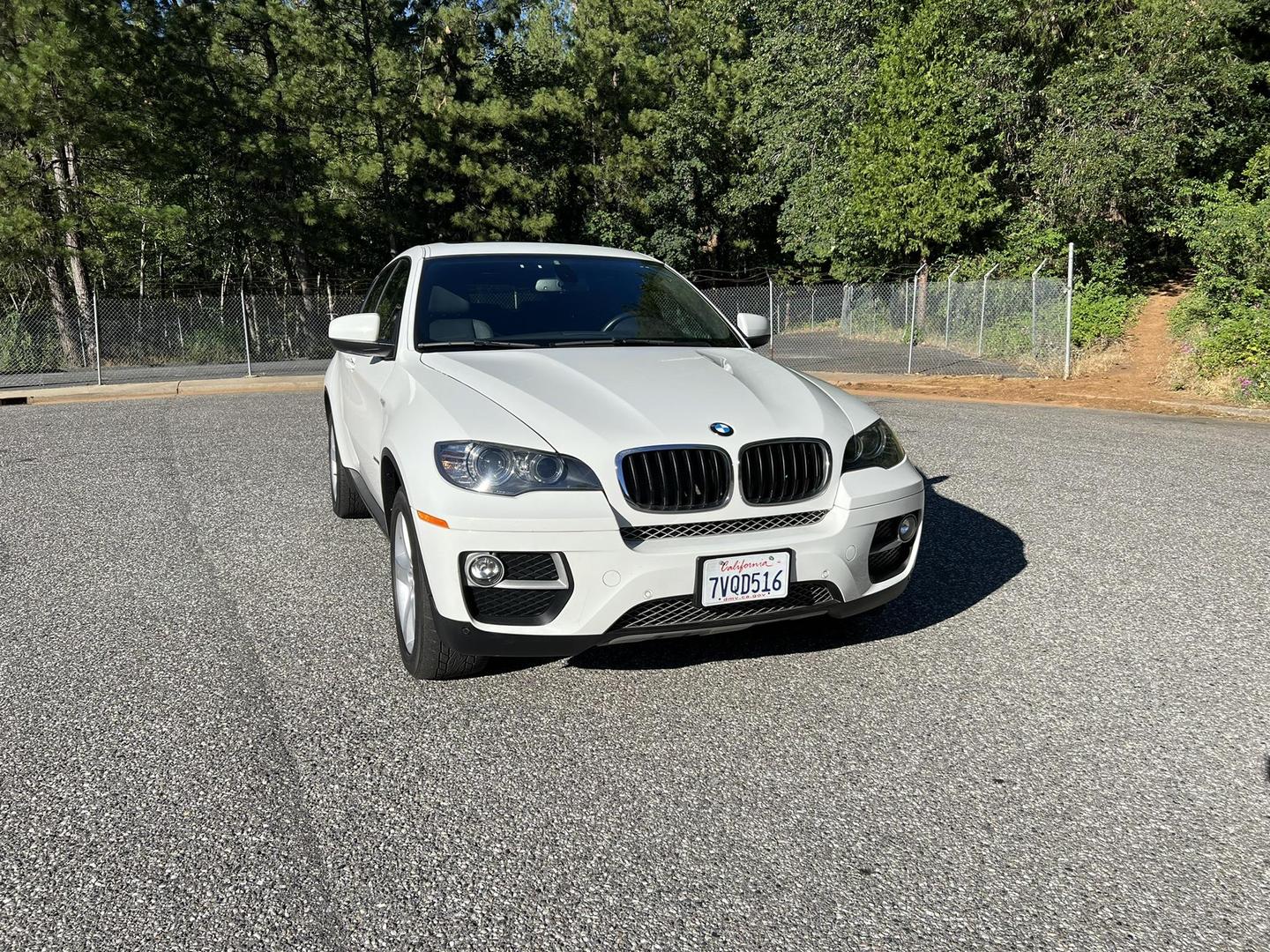 2014 BMW X6 xDrive35i photo 22