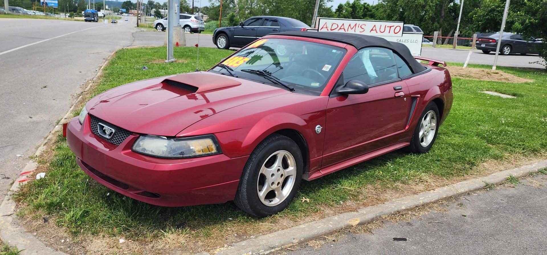 2004 Ford Mustang Premium photo 2