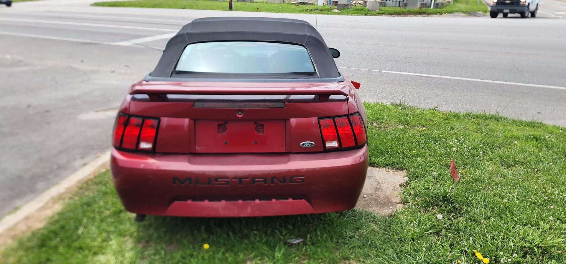 2004 Ford Mustang Premium photo 5