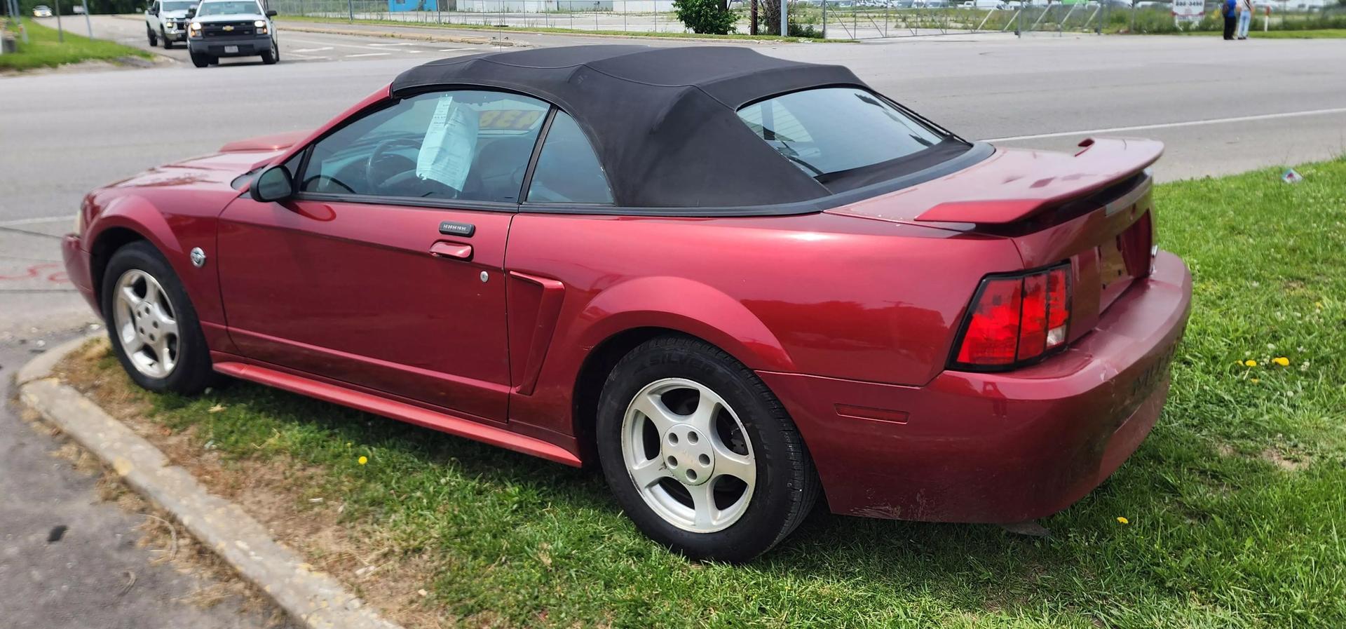 2004 Ford Mustang Premium photo 3