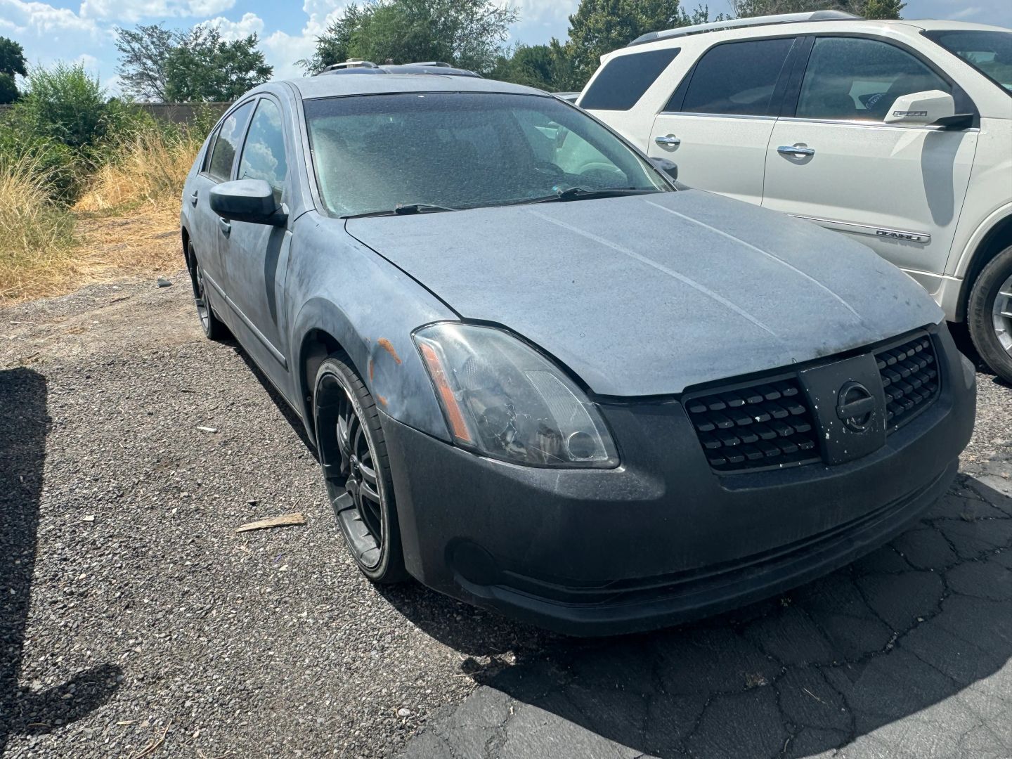 2006 Nissan Maxima SE