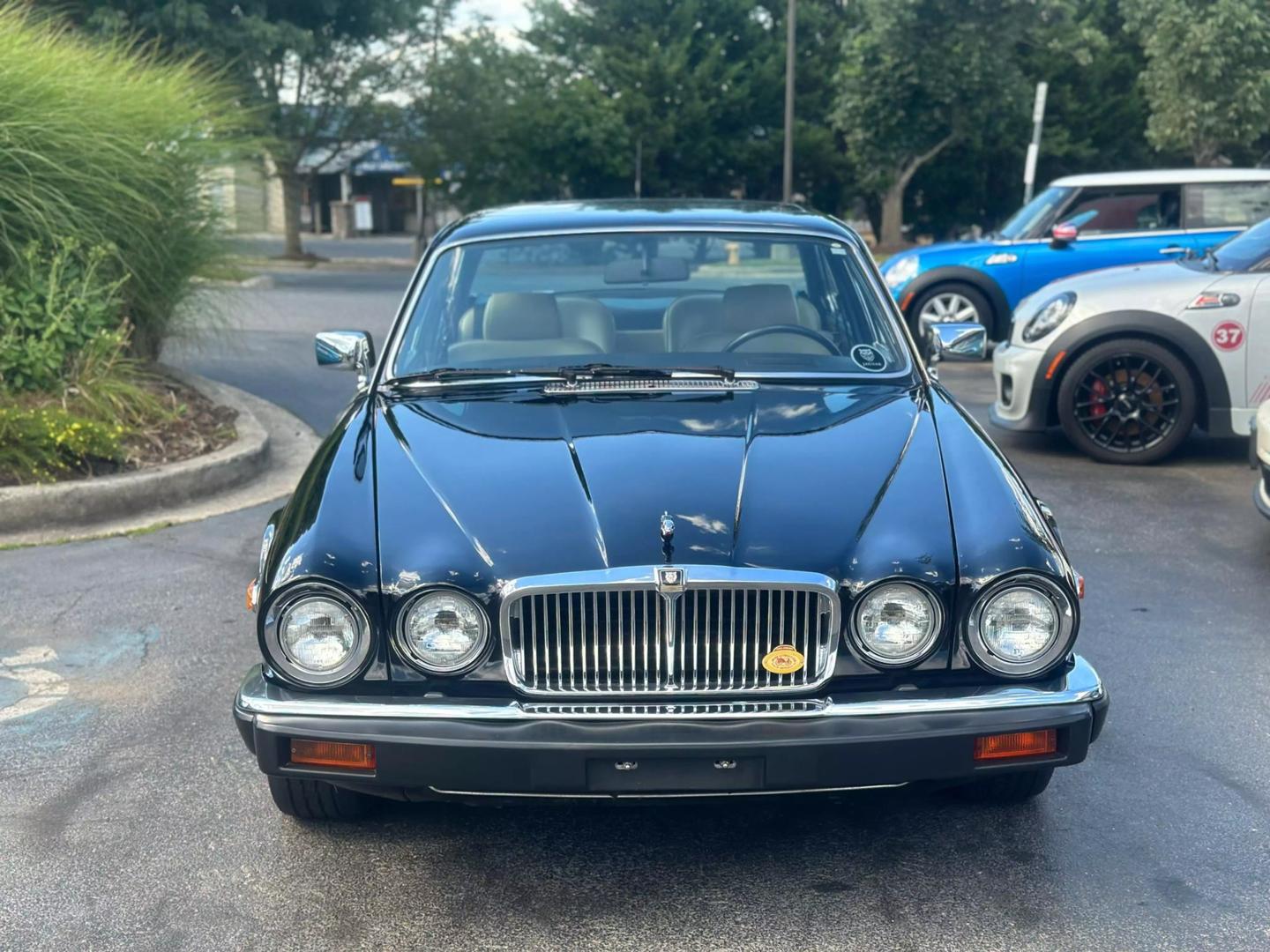 1983 Jaguar XJ6 null photo 4