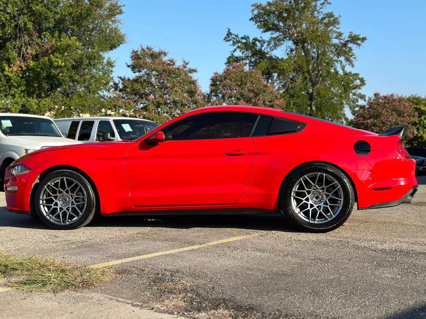 2019 Ford Mustang - Image 4