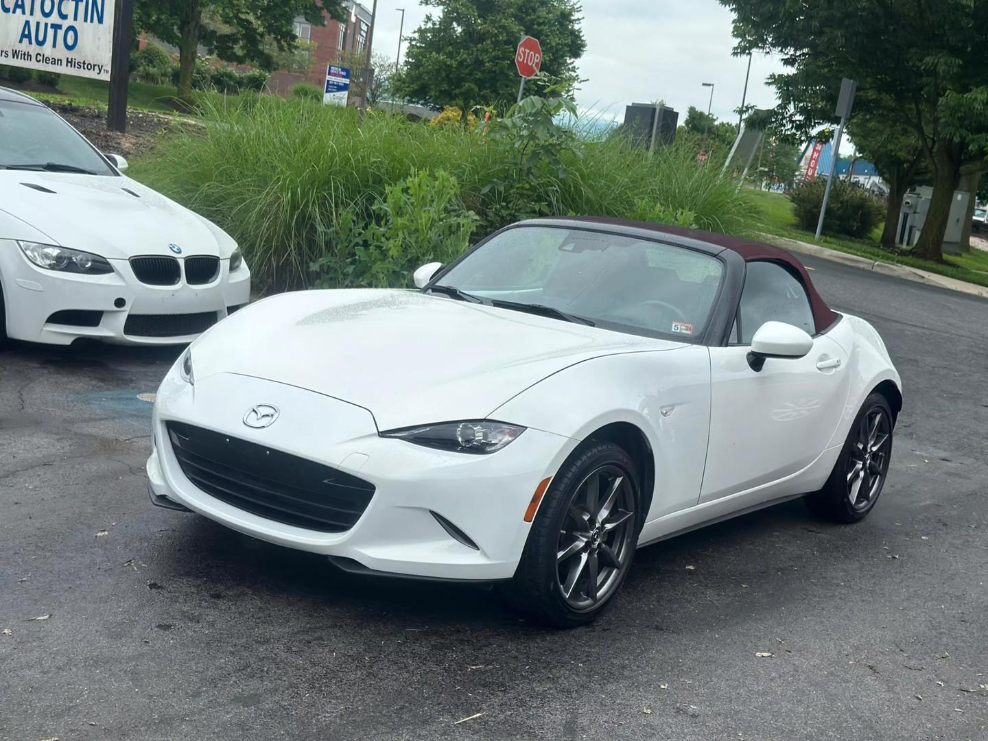 Mazda MX-5 Miata's photo