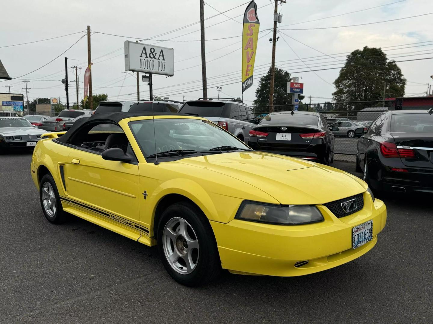 2003 Ford Mustang Deluxe photo 19