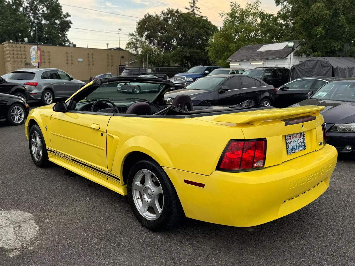 2003 Ford Mustang Deluxe photo 9