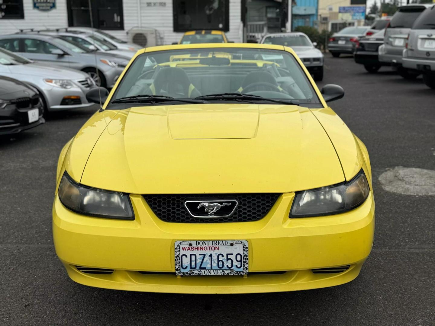 2003 Ford Mustang Deluxe photo 4