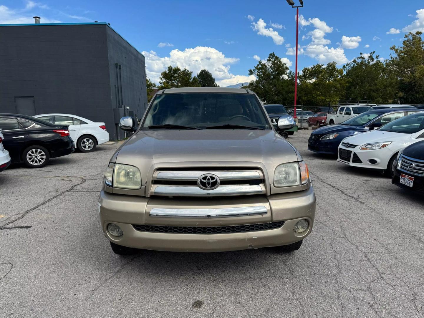 2003 Toyota Tundra SR5 photo 2