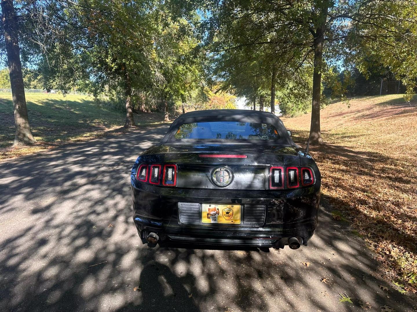 2013 Ford Mustang V6 photo 6