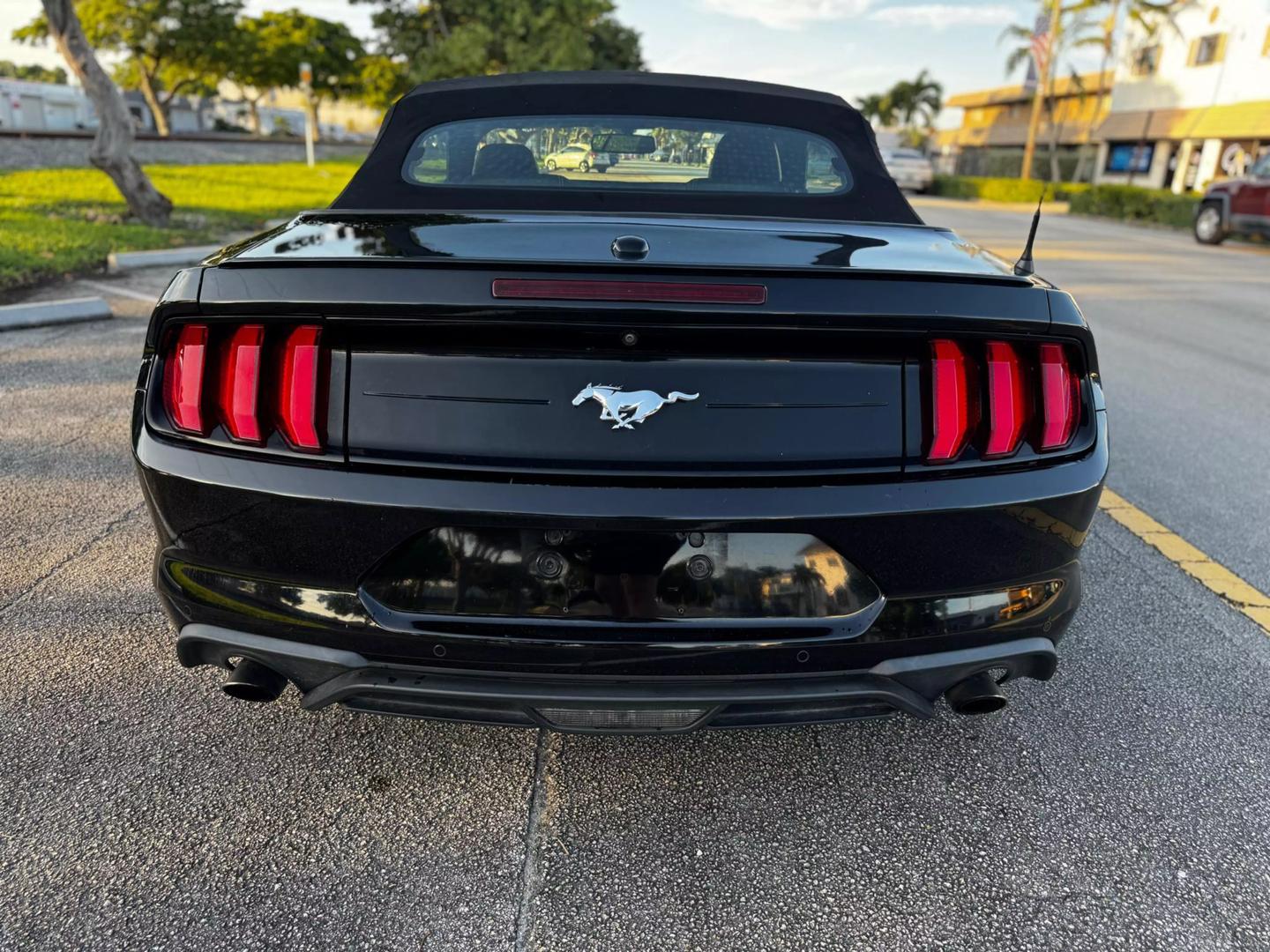 2019 Ford Mustang EcoBoost Premium photo 7