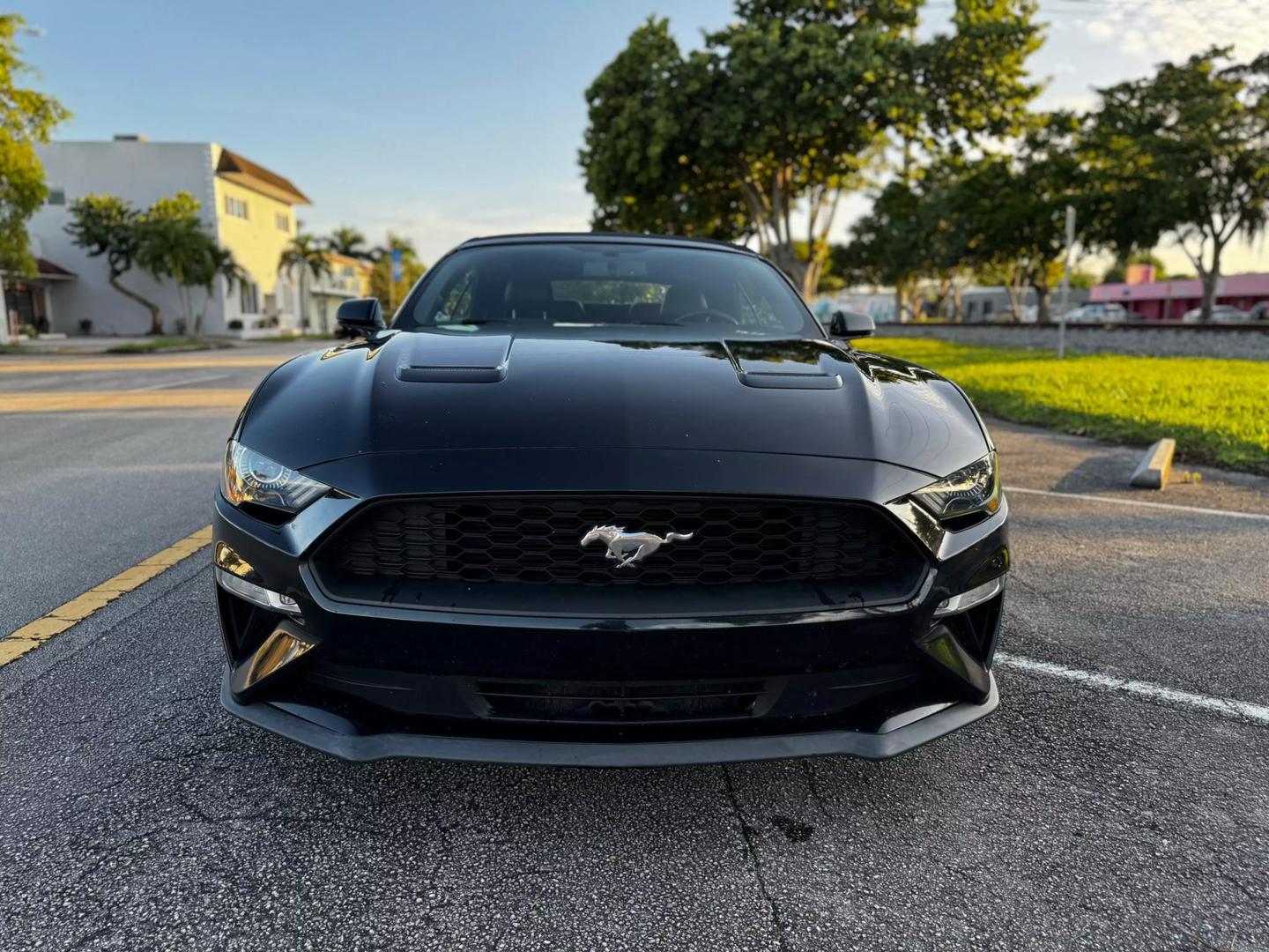 2019 Ford Mustang EcoBoost Premium photo 2