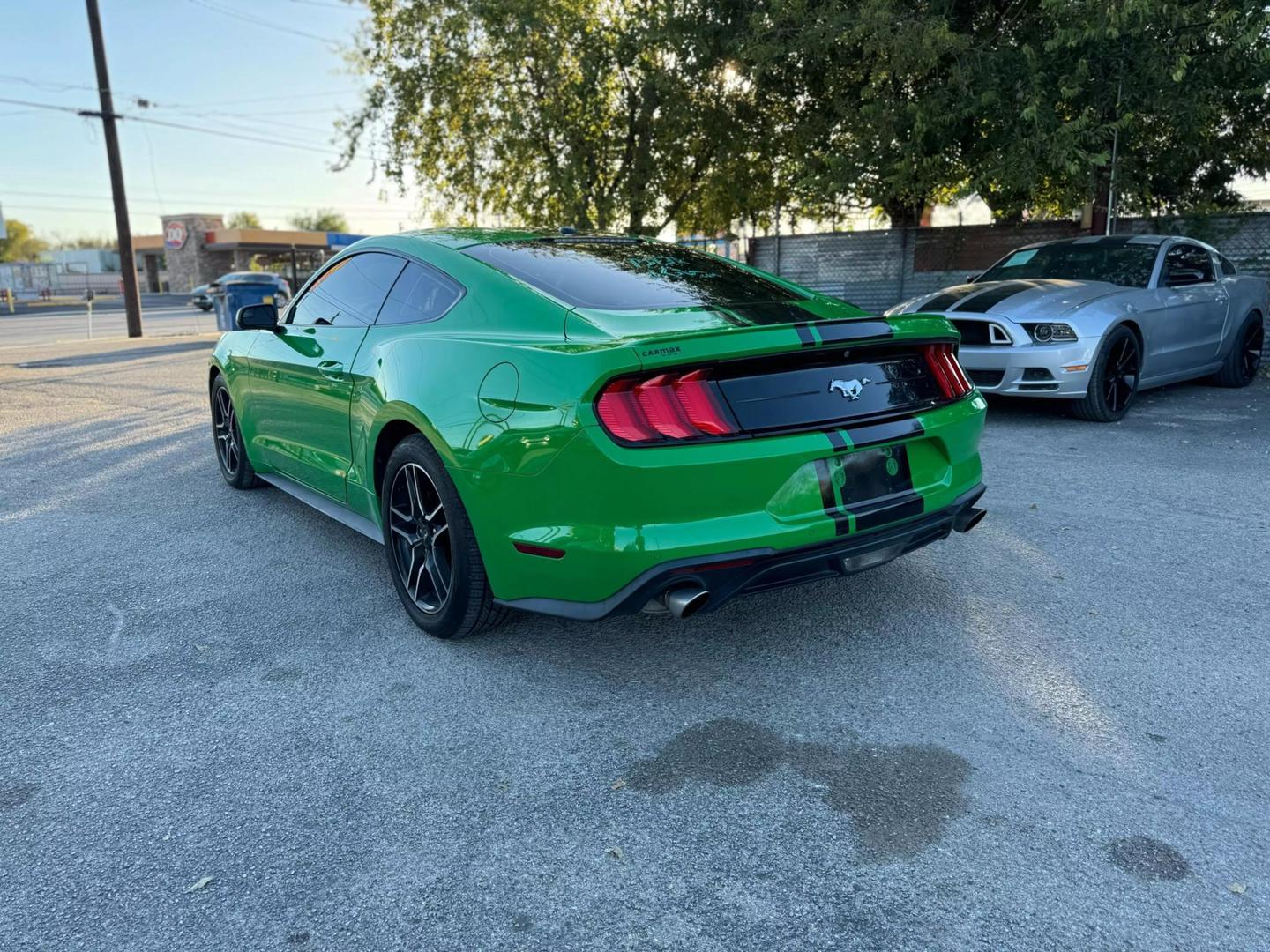 2019 Ford Mustang EcoBoost photo 7