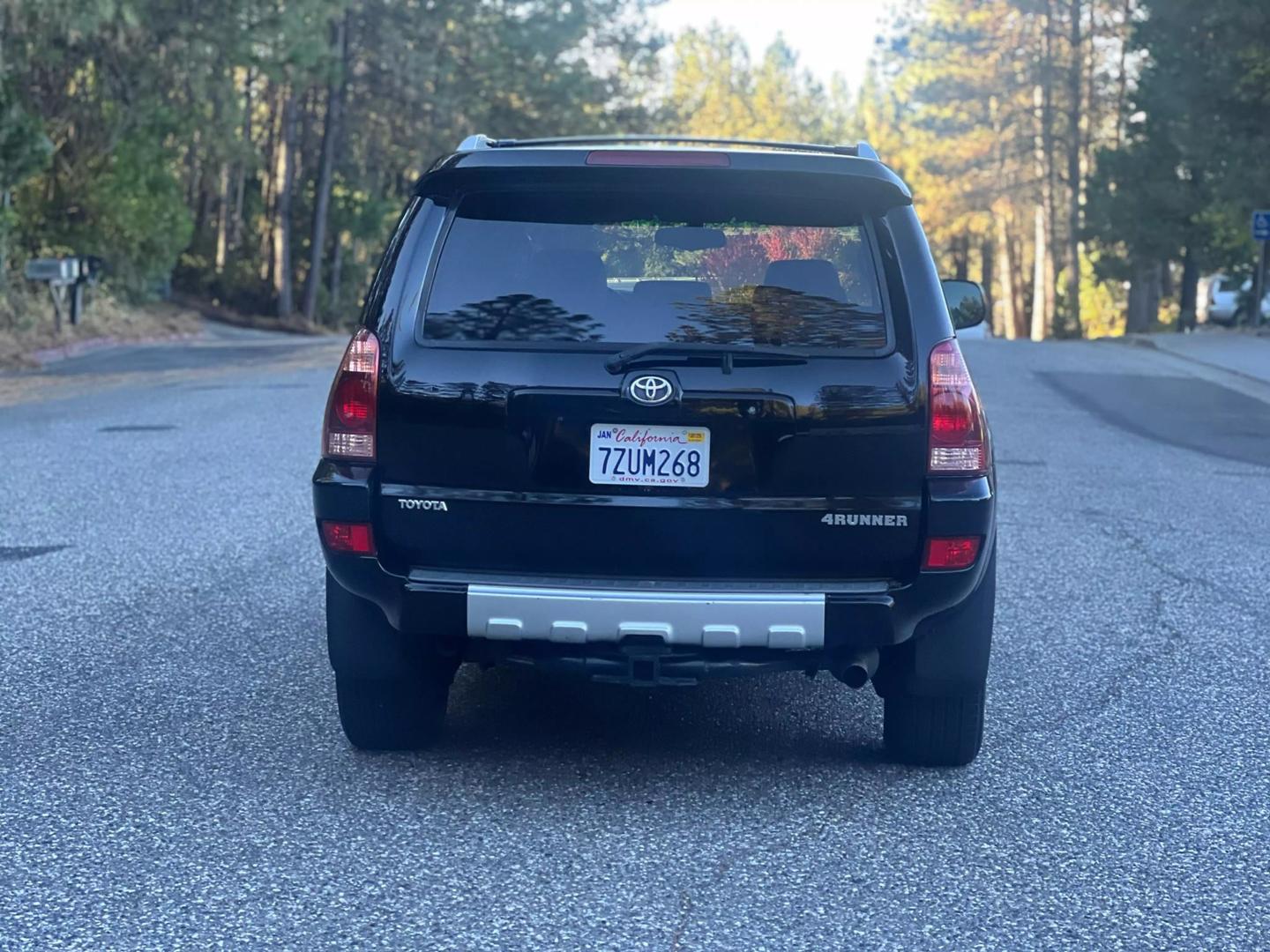 2004 Toyota 4Runner Limited photo 8