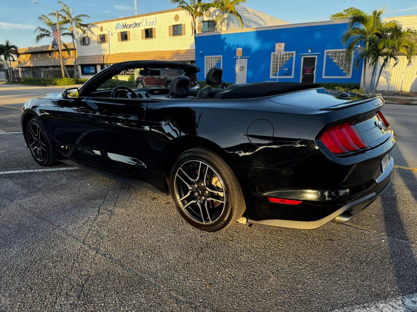 2019 Ford Mustang EcoBoost Premium photo 19