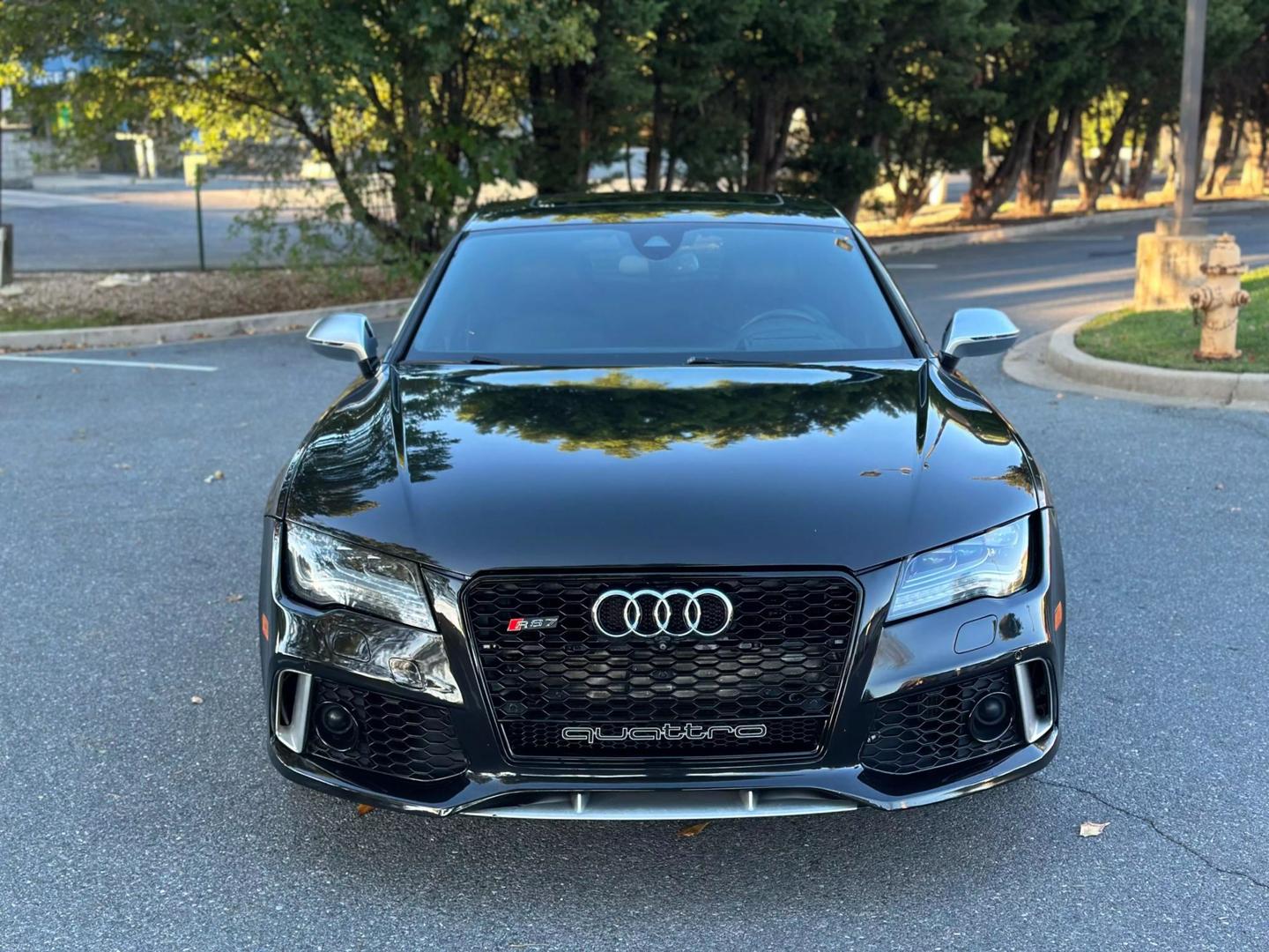 2015 Audi RS 7 Base photo 3