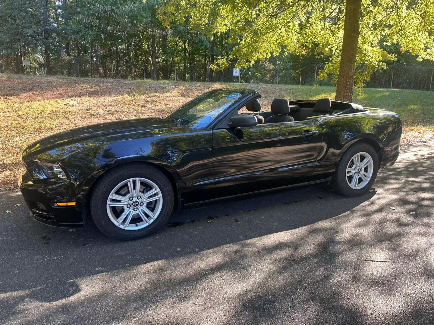 2013 Ford Mustang V6 photo 9