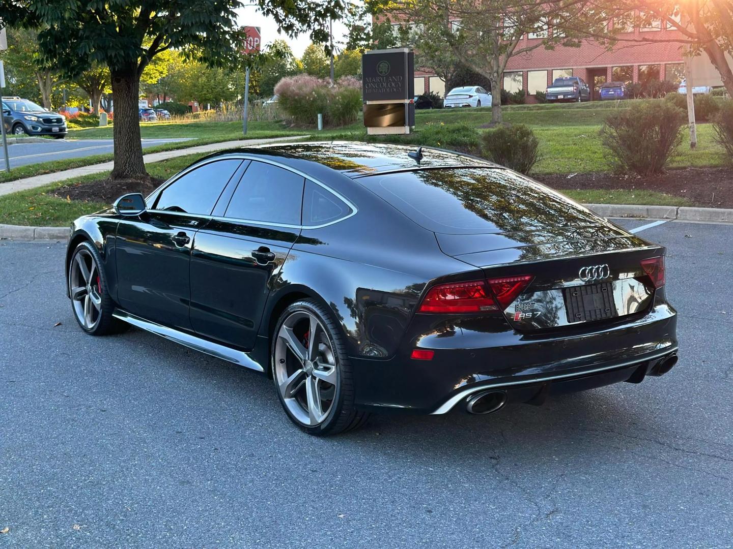 2015 Audi RS 7 Base photo 13