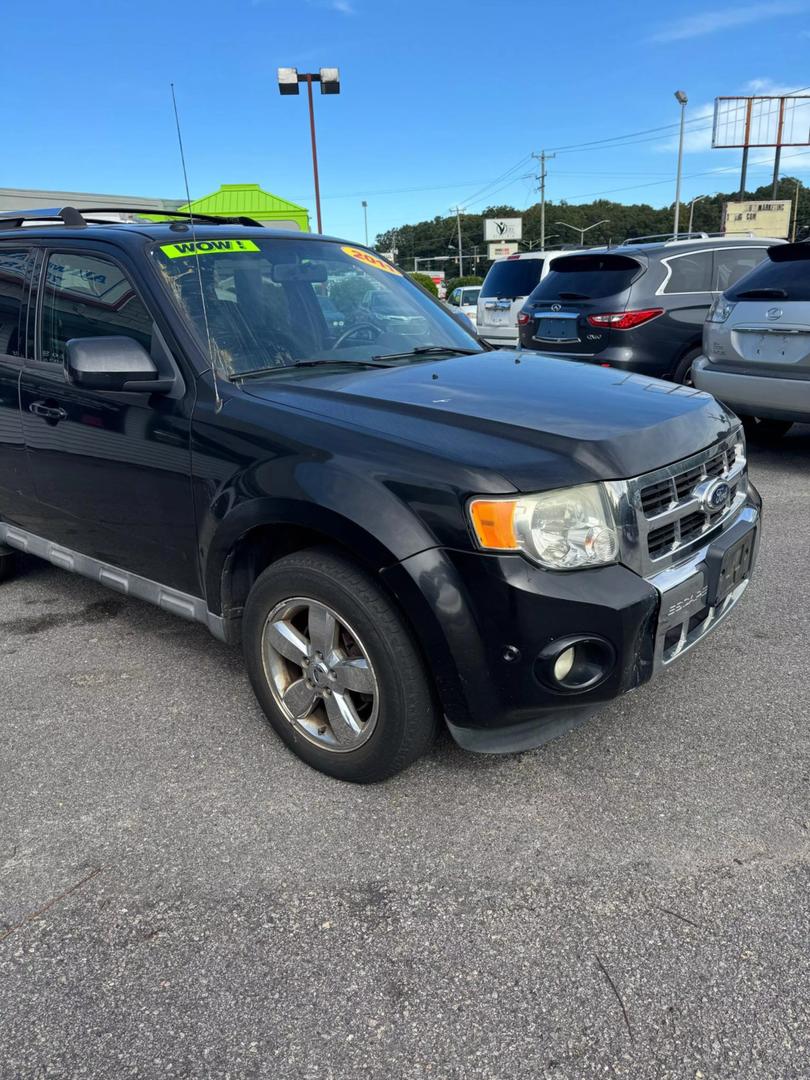 2011 Ford Escape Limited photo 2