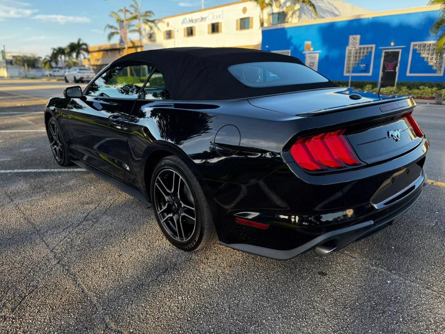 2019 Ford Mustang EcoBoost Premium photo 8