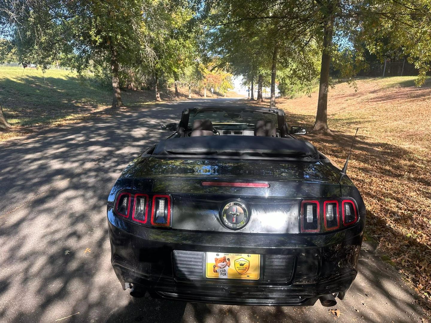 2013 Ford Mustang V6 photo 12