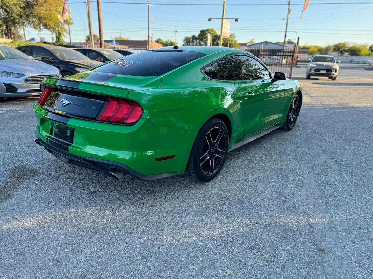 2019 Ford Mustang EcoBoost photo 9