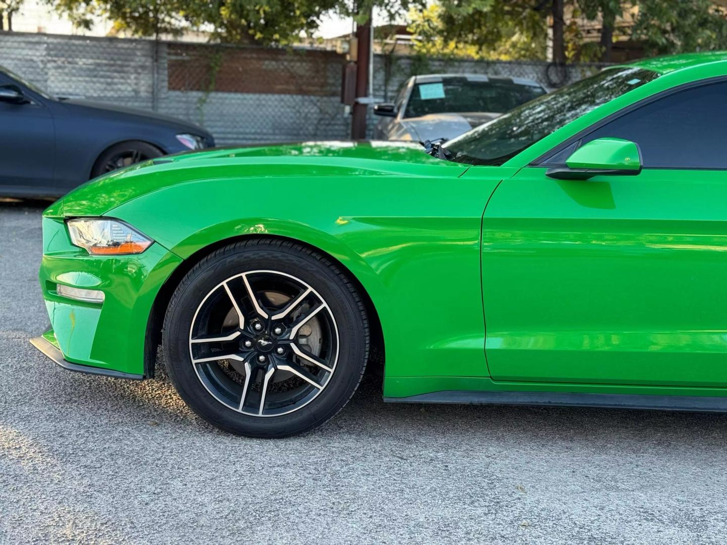 2019 Ford Mustang EcoBoost photo 4