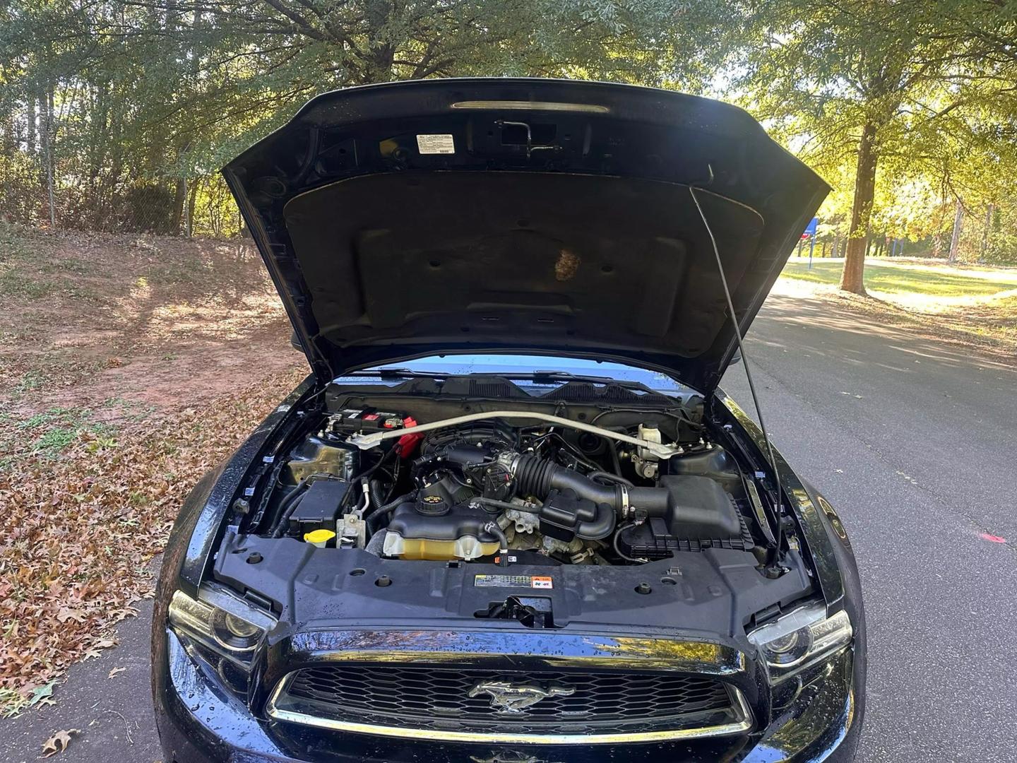 2013 Ford Mustang V6 photo 22