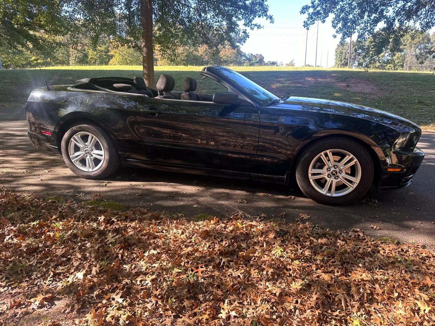 2013 Ford Mustang V6 photo 10