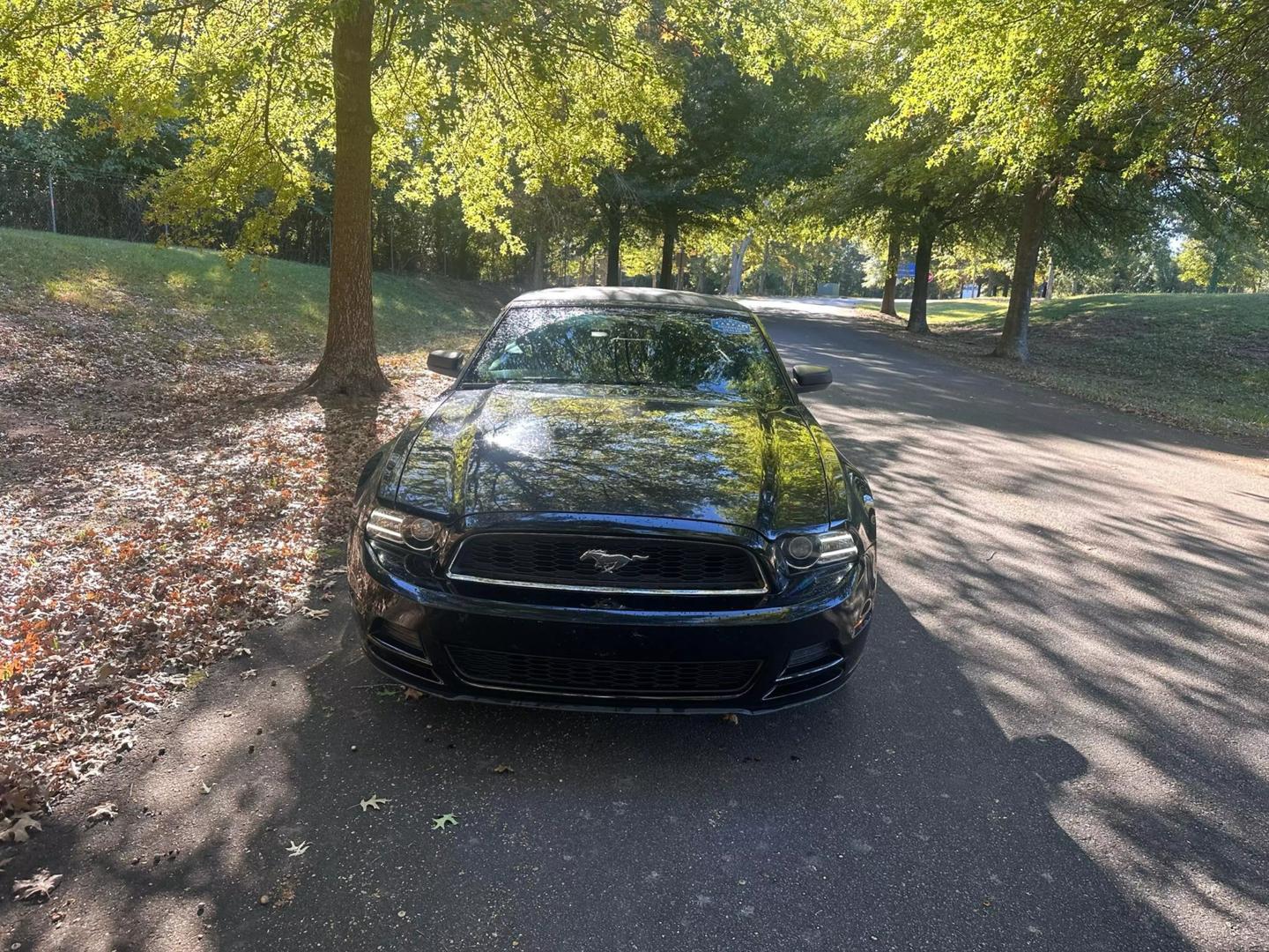 2013 Ford Mustang V6 photo 2