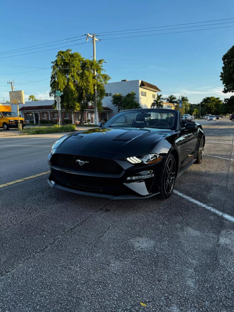 2019 Ford Mustang EcoBoost Premium photo 16