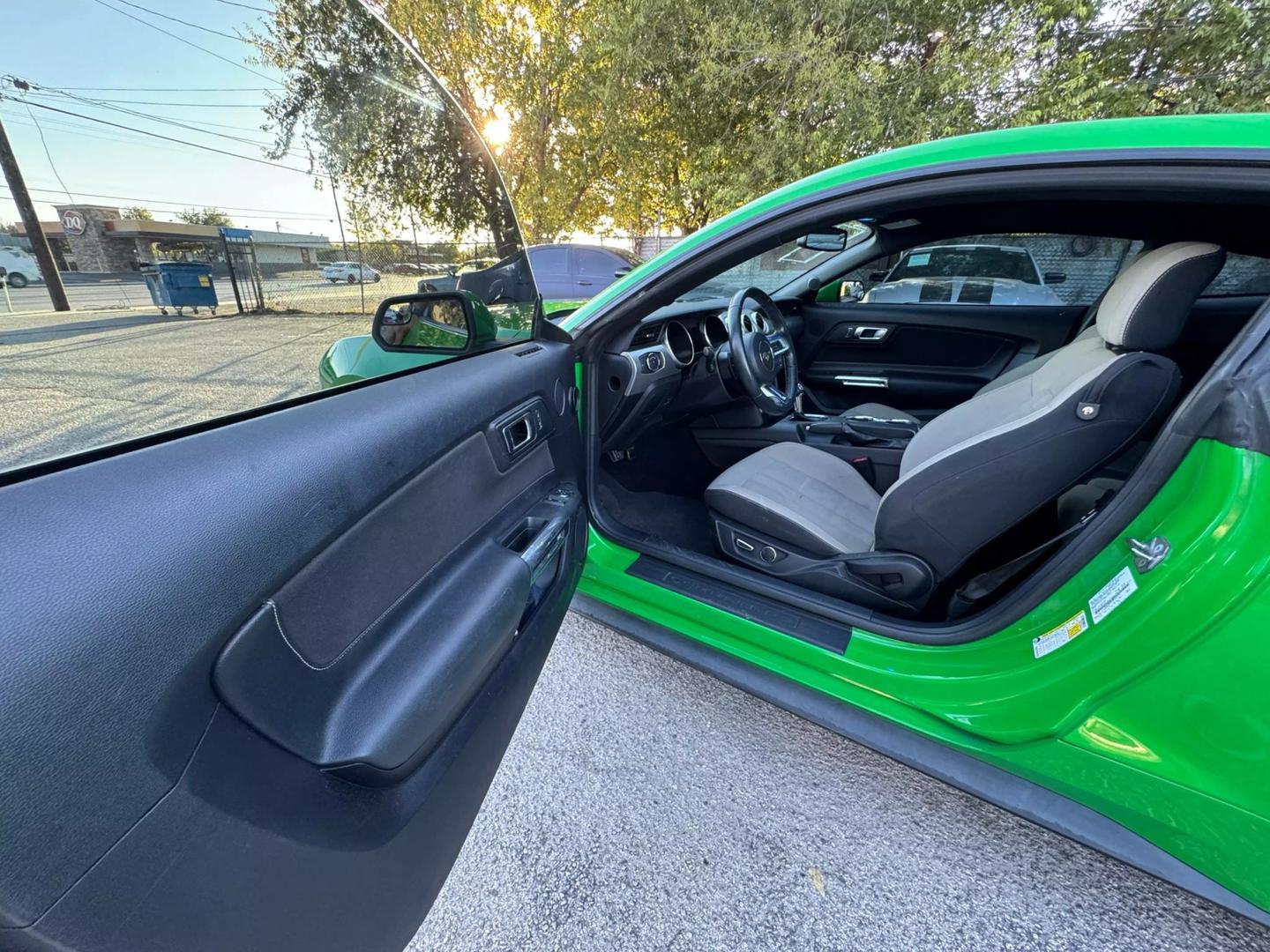 2019 Ford Mustang EcoBoost photo 14