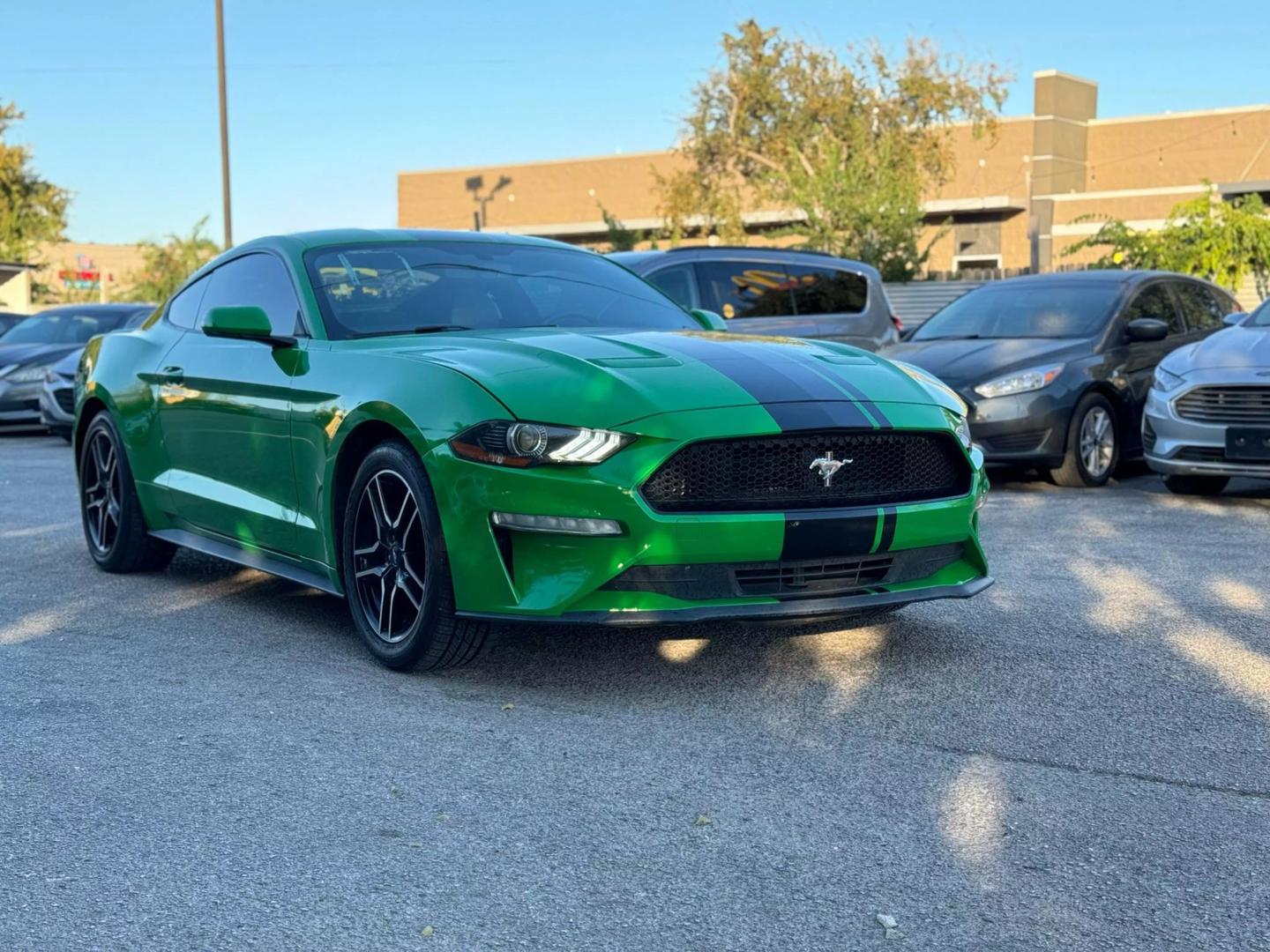 2019 Ford Mustang EcoBoost photo 2