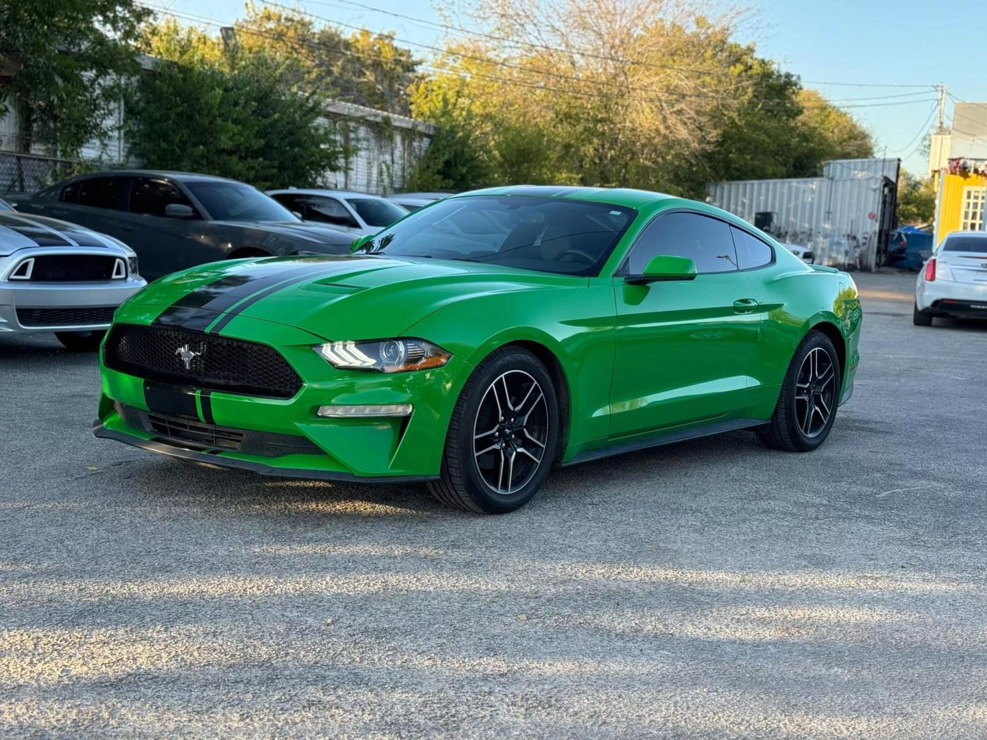 2019 Ford Mustang EcoBoost photo 1