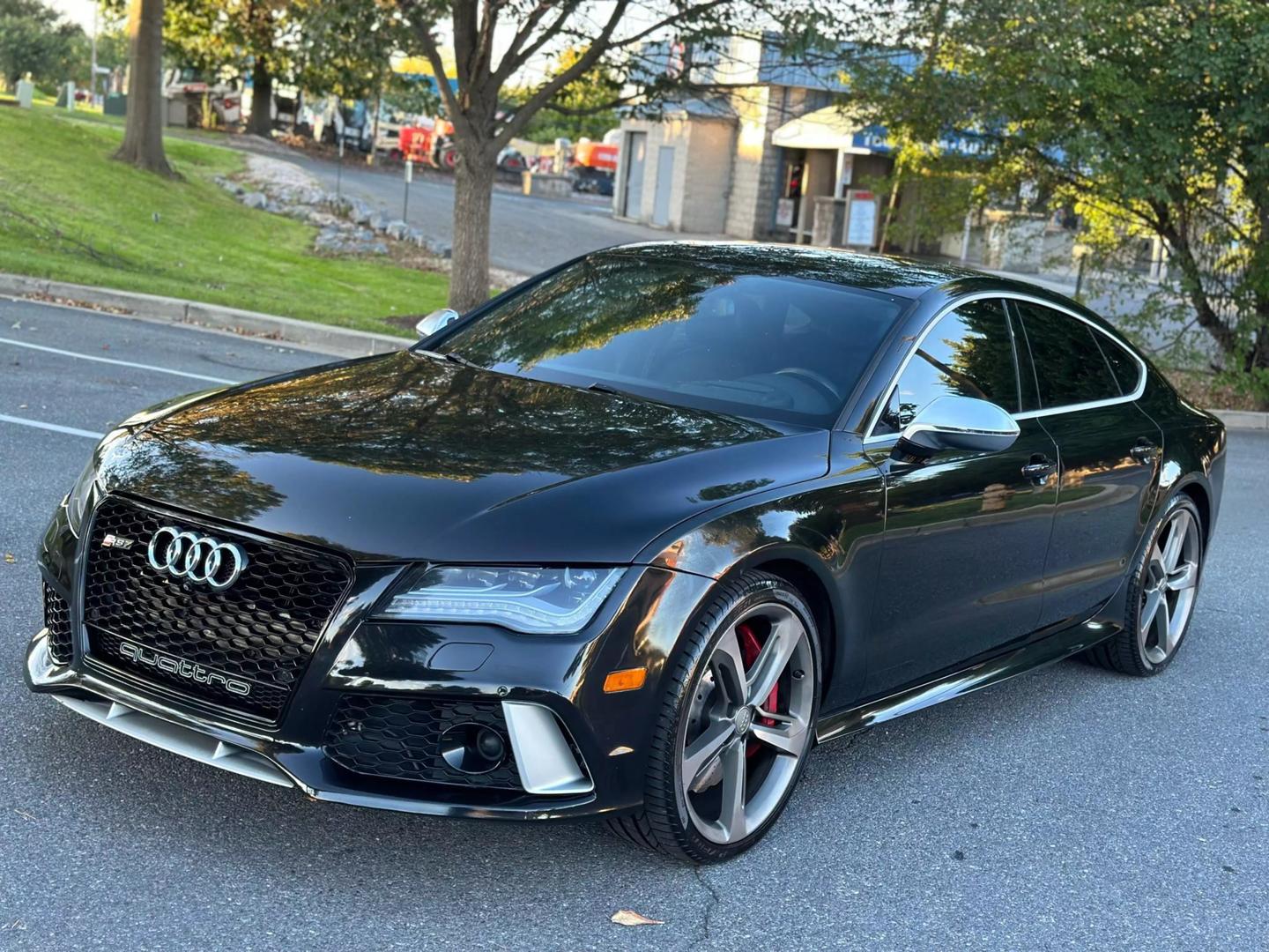 2015 Audi RS 7 Base photo 15