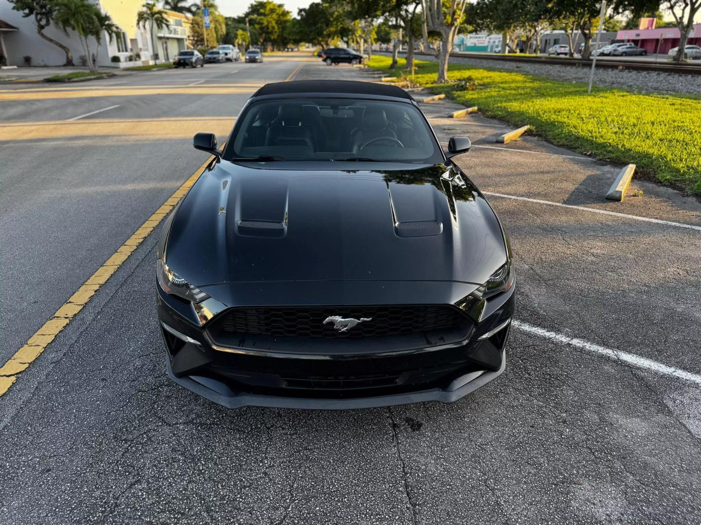 2019 Ford Mustang EcoBoost Premium photo 3