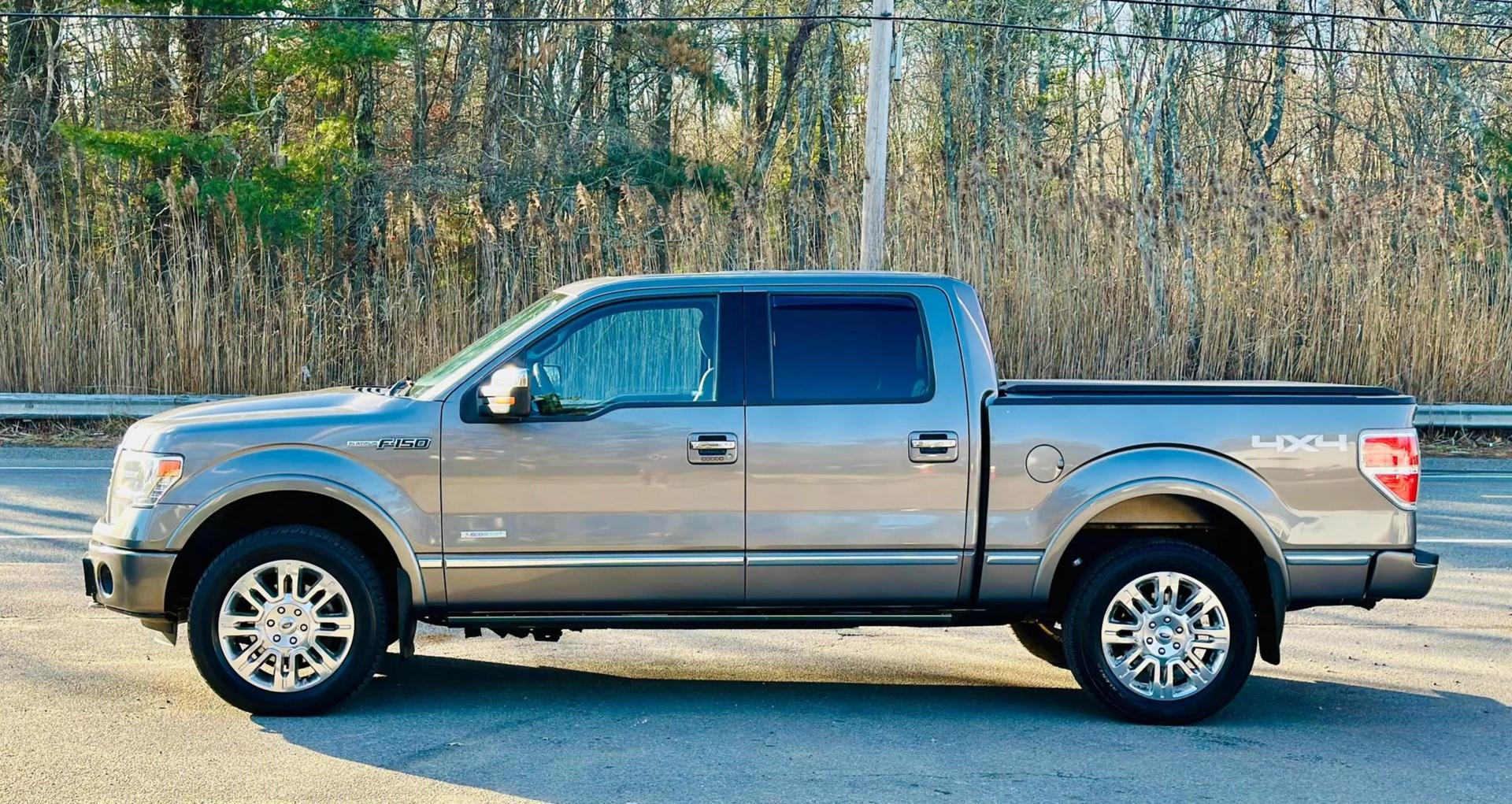 2014 Ford F-150 Platinum photo 6