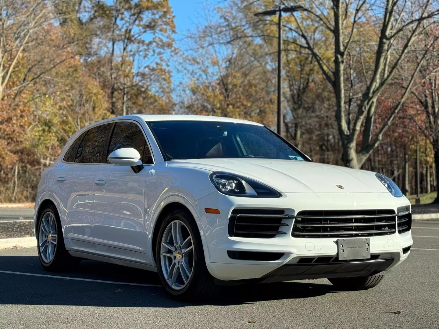 2019 Porsche Cayenne Base photo 2