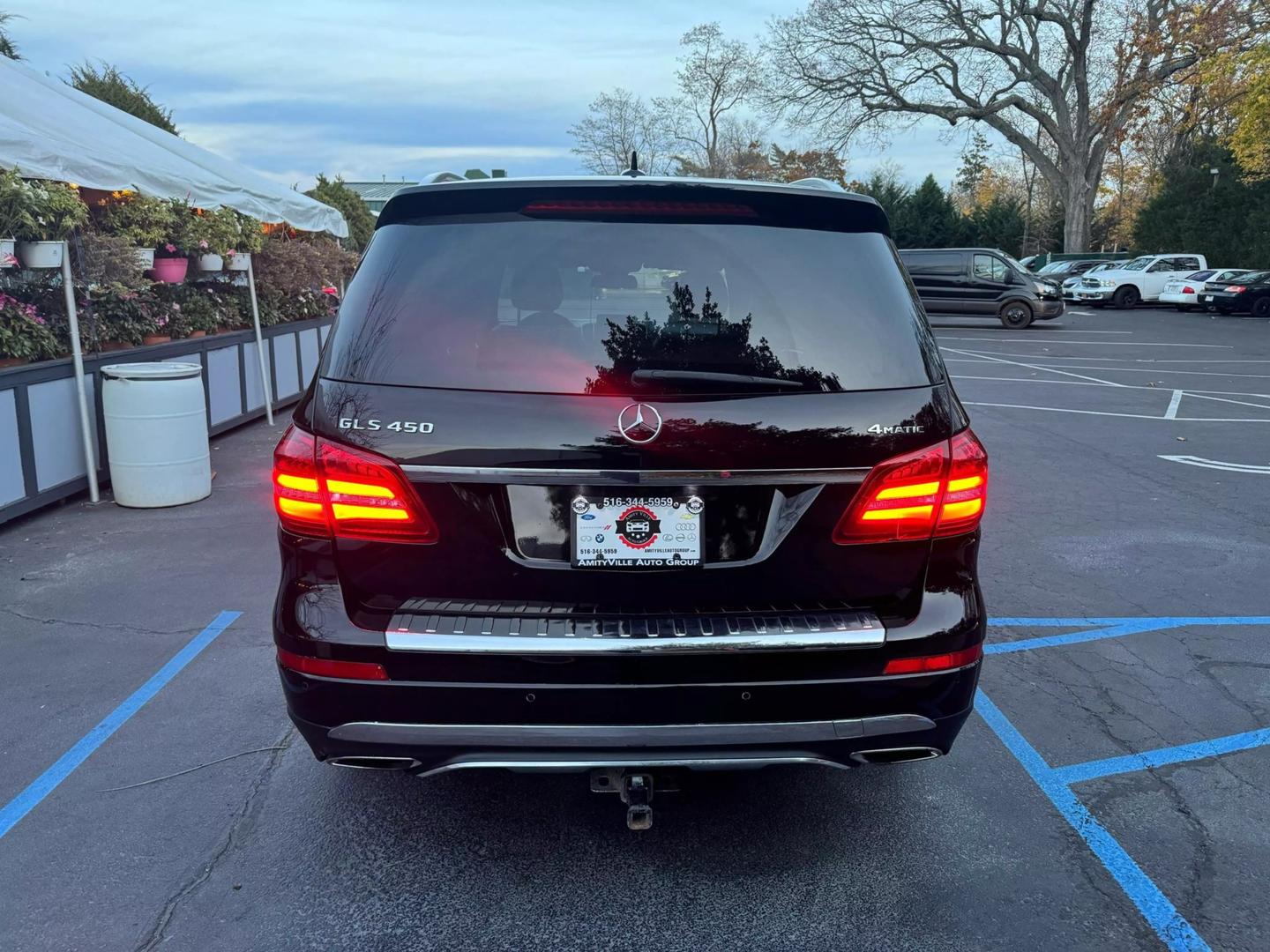 2017 Mercedes-Benz GLS-Class GLS450 photo 10