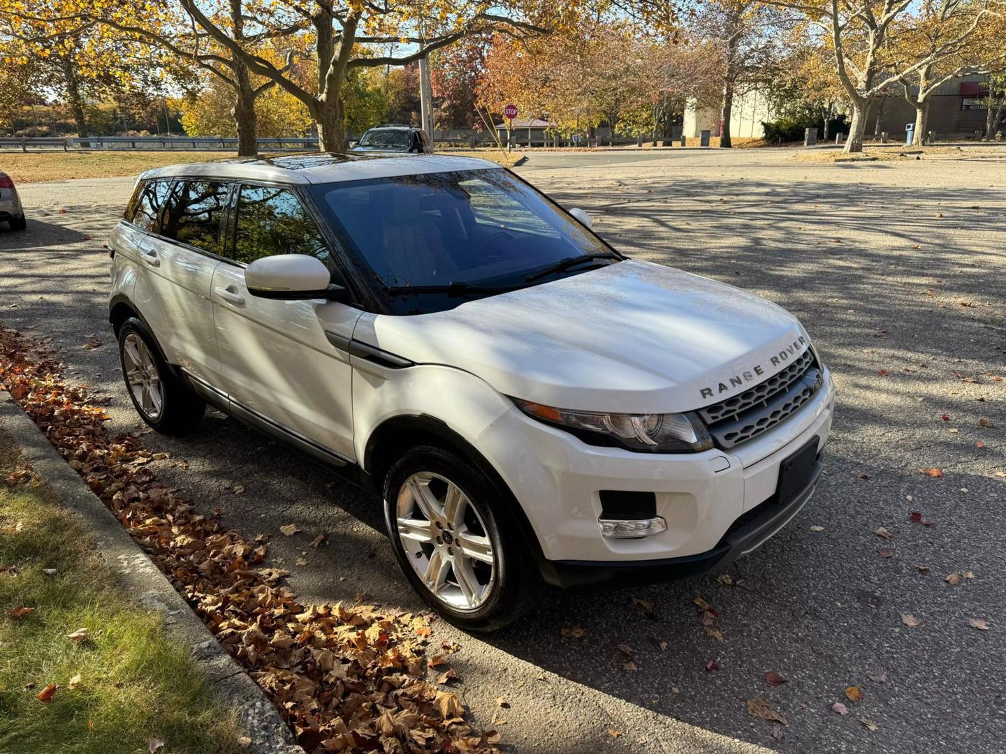 2013 Land Rover Range Rover Evoque Pure photo 6