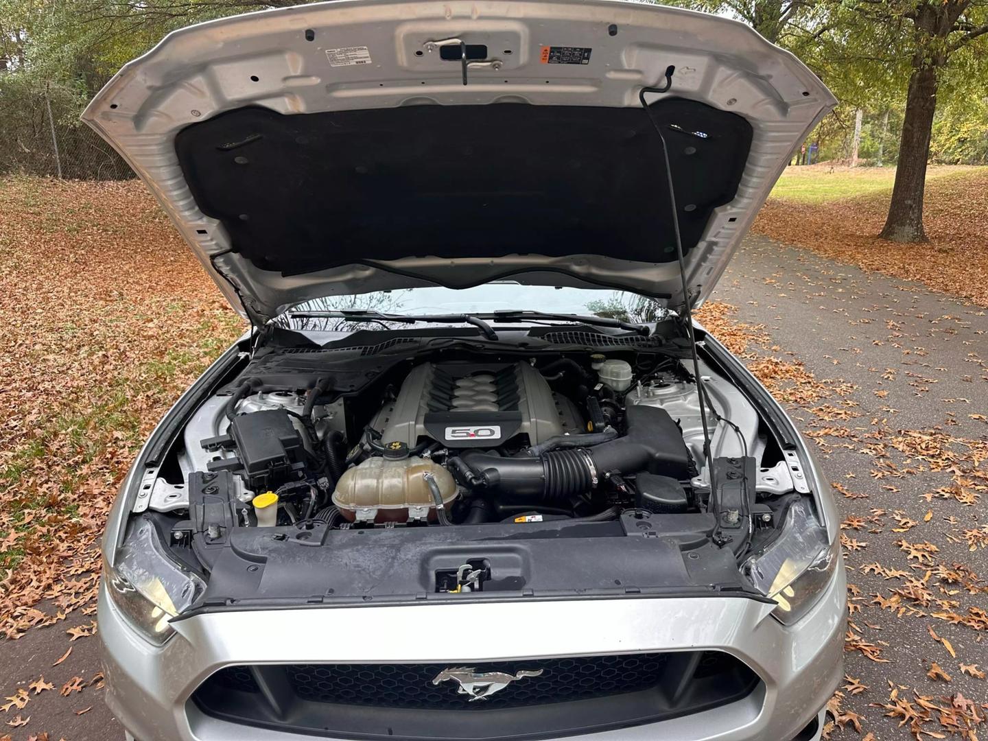 2017 Ford Mustang GT photo 10