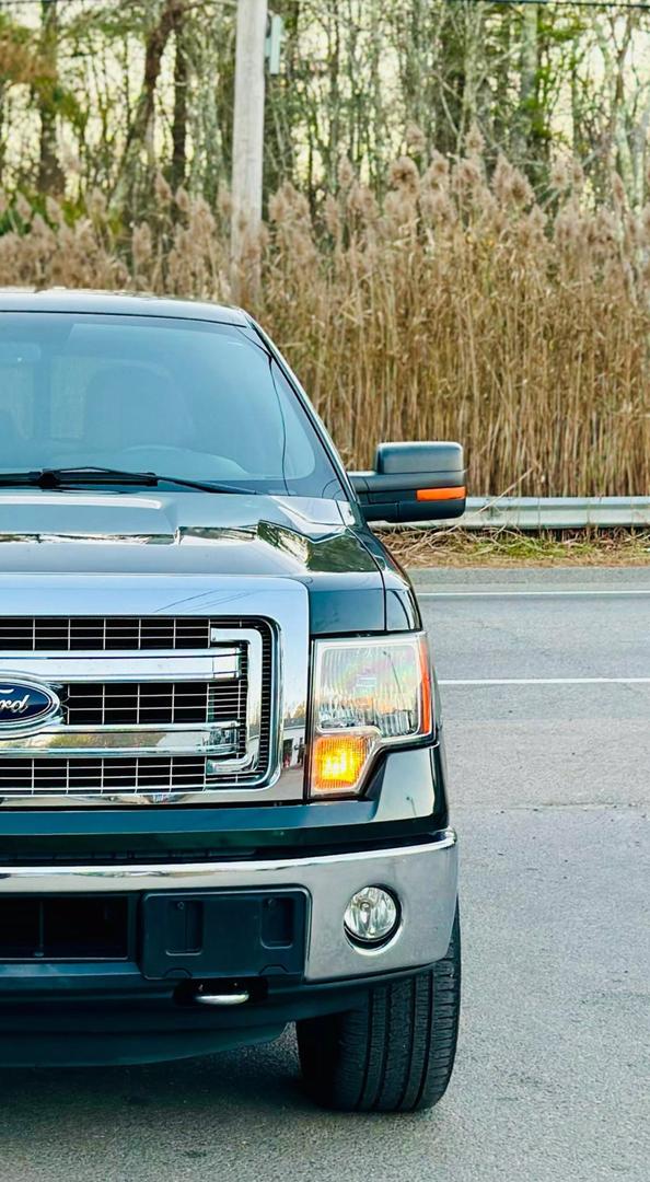 2014 Ford F-150 XL photo 5